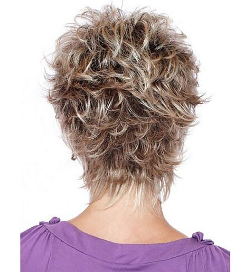Womens Wigs for White Women Silver Wig Human Hair Short Wigs for Women Synthetic Wigs Grey Wig Natural Hair