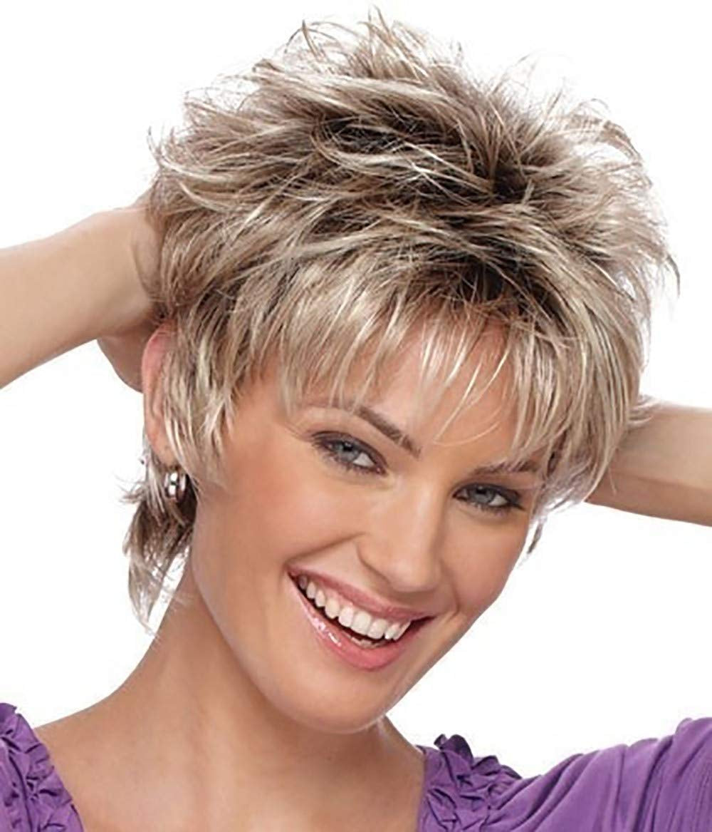Womens Wigs for White Women Silver Wig Human Hair Short Wigs for Women Synthetic Wigs Grey Wig Natural Hair