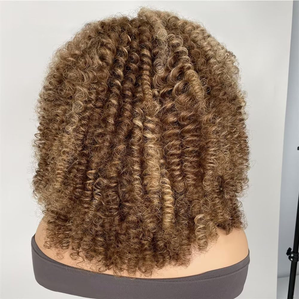 #4/27 Kinky Edge Afro Kinky Curly Wig Human Hair Honey Blonde Color 13X6 HD Transparent Lace Front Wig Human Hair Pre Plucked for Women Brazilian Remy Hair Glueless Wig 150% Density 18Inch